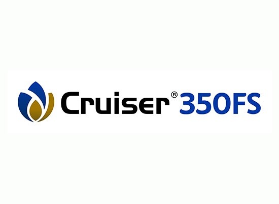 Cruiser 350 FS 